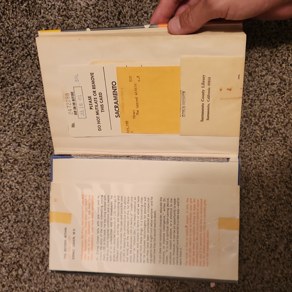 The Beyond Within The LSD Story - Picture 4 of 6
